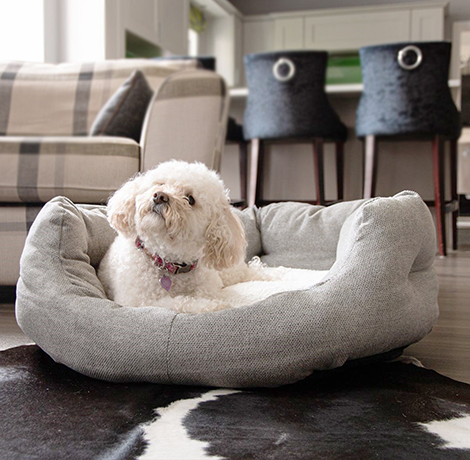 Kistappancs - Stílusos és minőségi kiegészítők kedvencednek