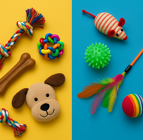 Kistappancs - Stílusos és minőségi kiegészítők kedvencednek