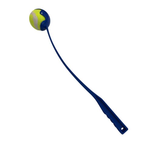 Labdadobó kar — kutyajáték kék