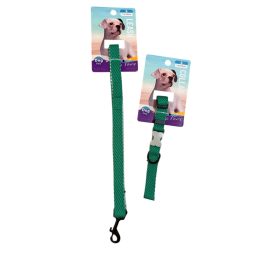 Nyakörv + póráz szett – zöld, S méret
