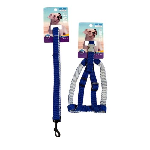 Hám + póráz szett – kék, S méret 