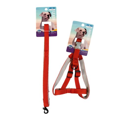 Hám + póráz szett – piros, S méret 