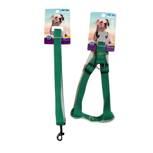 Hám + póráz szett – zöld, M méret 